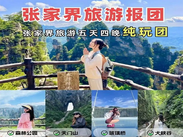 張家界純玩五日游報團多少錢，看完這篇攻略就夠了！